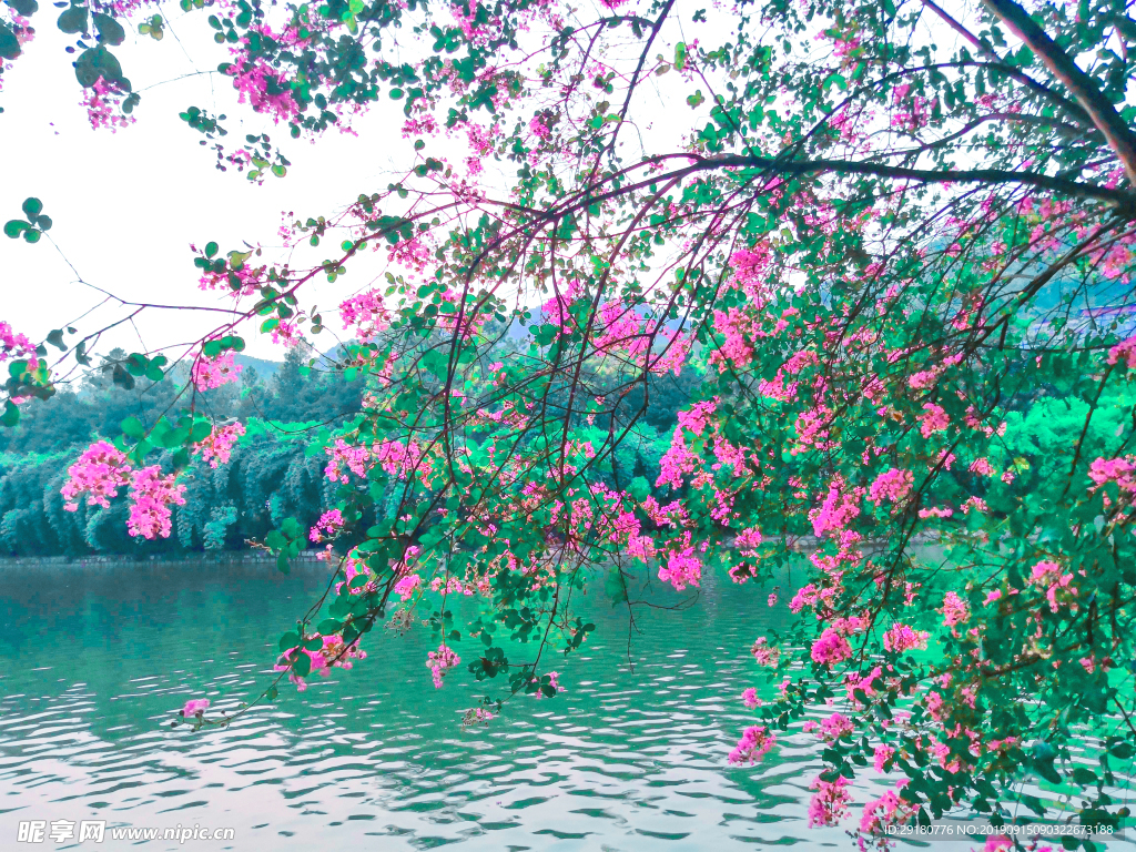 校園秋景