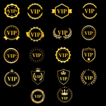 金色VIP会员图标