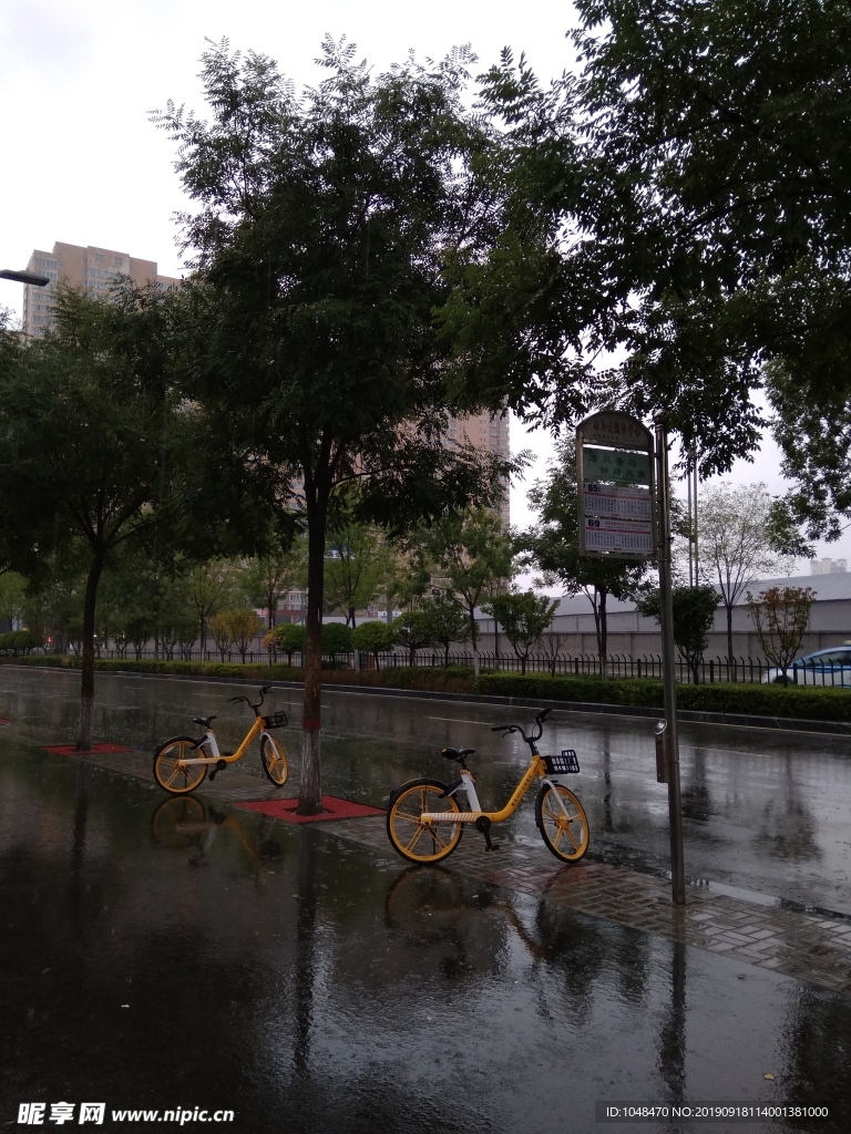 雨中的单车