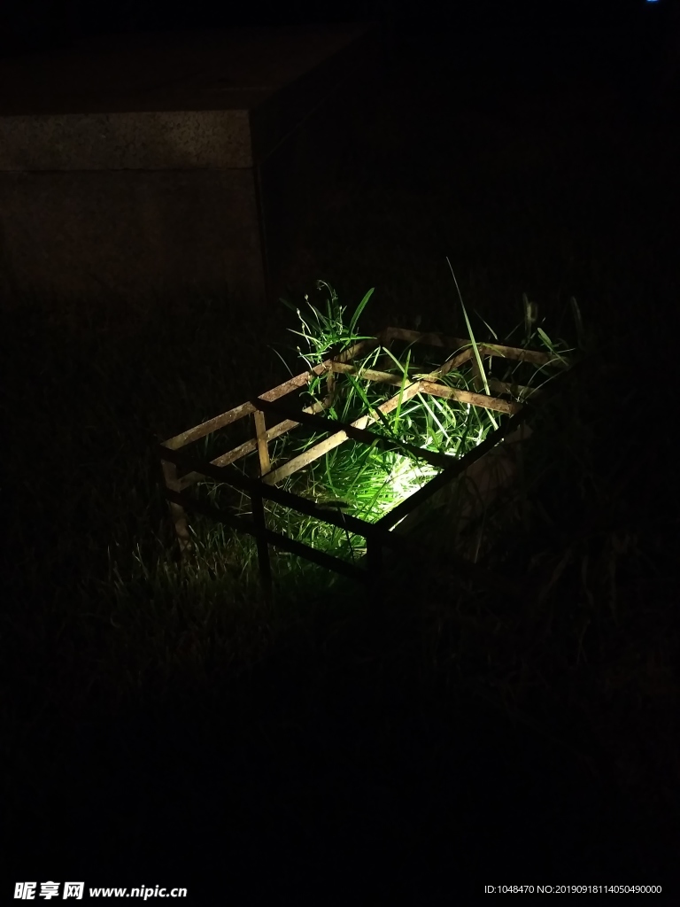 草地上的燈光