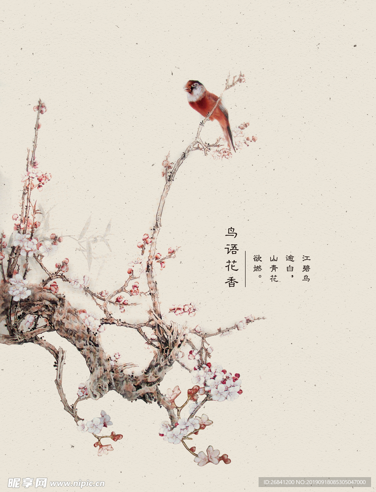 中國鳥風