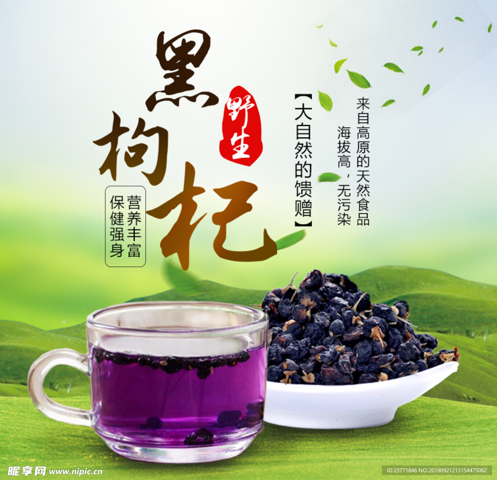 黑枸杞