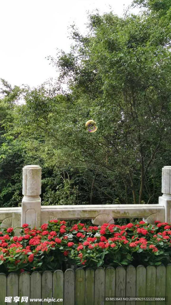 雕欄玉砌 花 公園 吹泡泡 泡