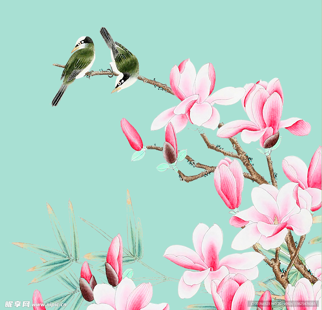 玉蘭花