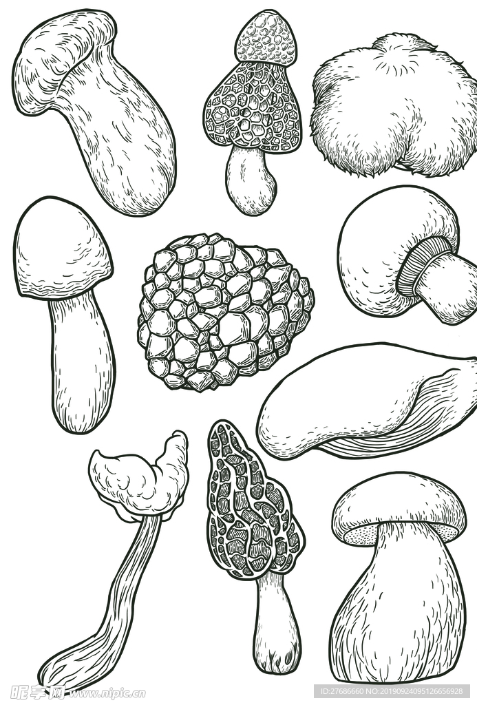 手绘菌菇素材