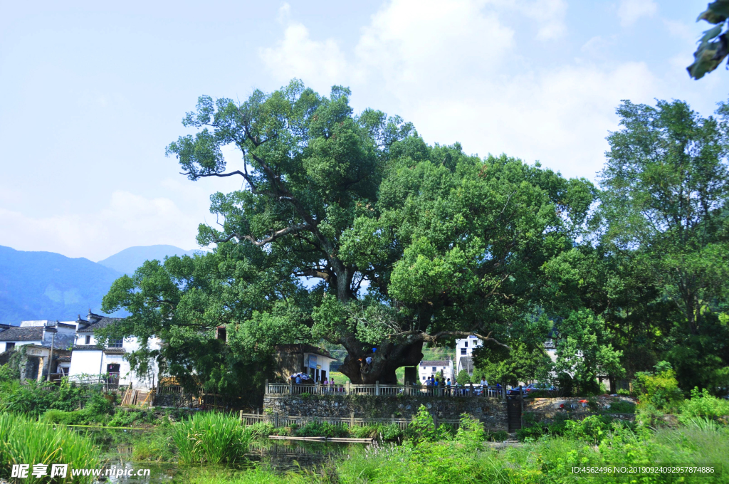鄉(xiāng)村風景
