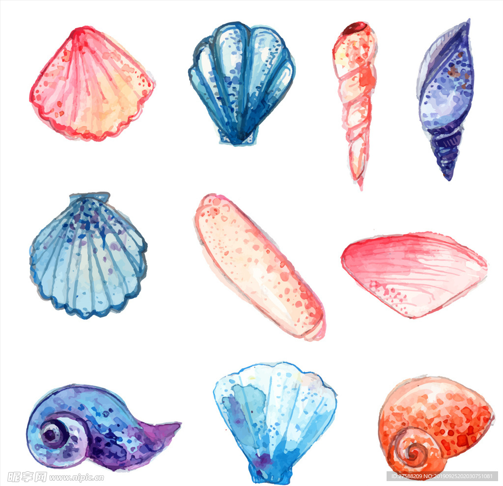 海洋生物素材