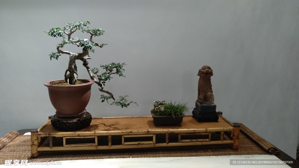 盆景
