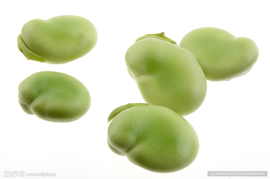 蠶豆