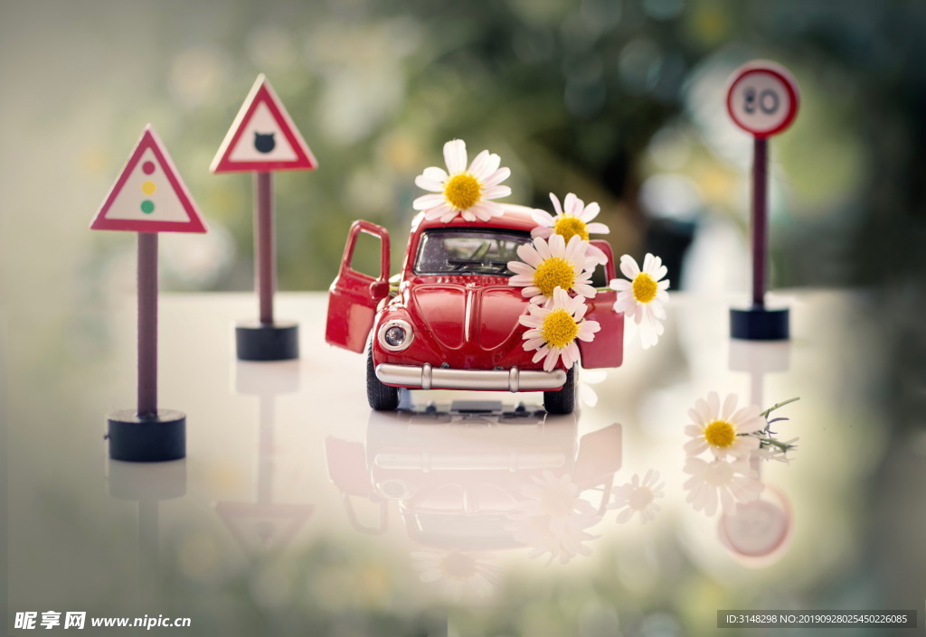 微景观-小雏菊与红色小汽车