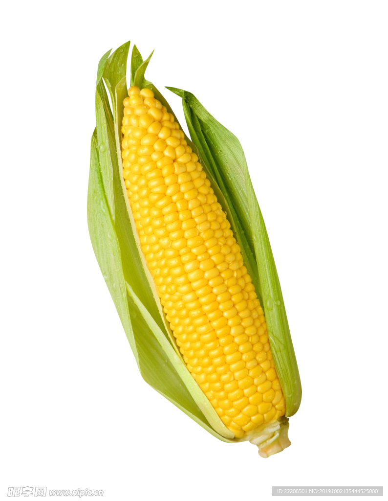 玉米