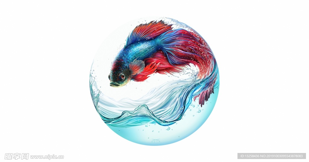 彩色金魚插畫