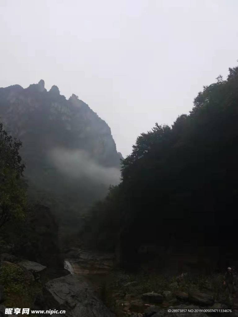 龍吐霧