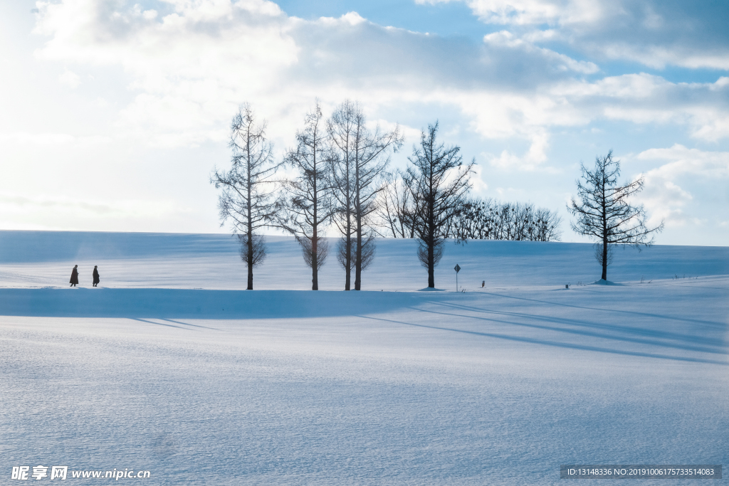 雪地