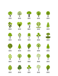 小树绿色植物图标