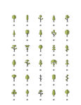 小树植物图标