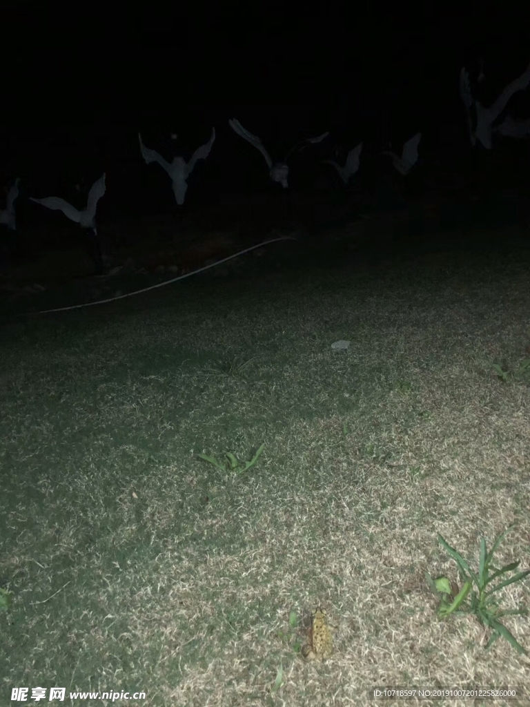 風(fēng)景風(fēng)光