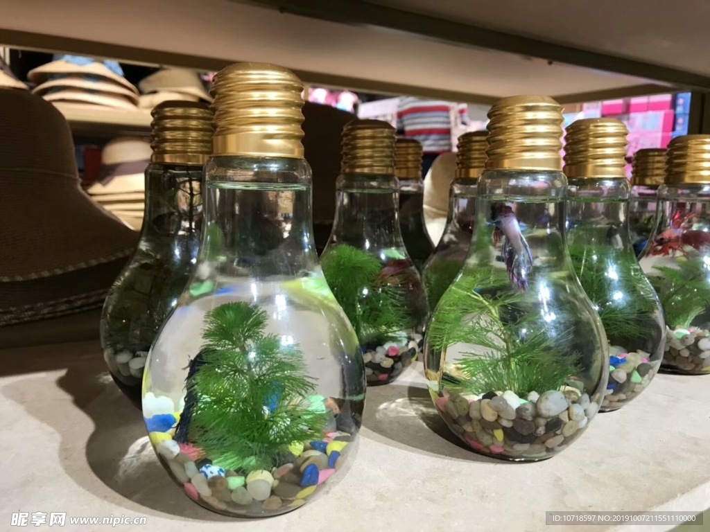 鮮花綠草