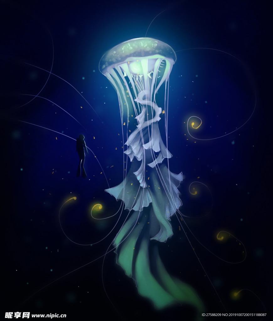 水母