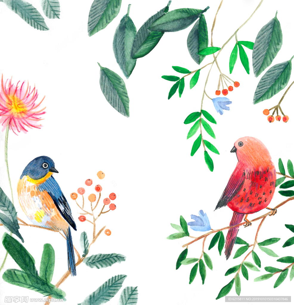 水彩花鳥圖