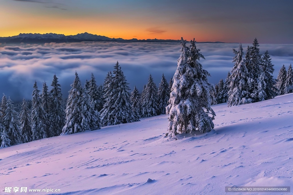大雪森林天空云彩風景