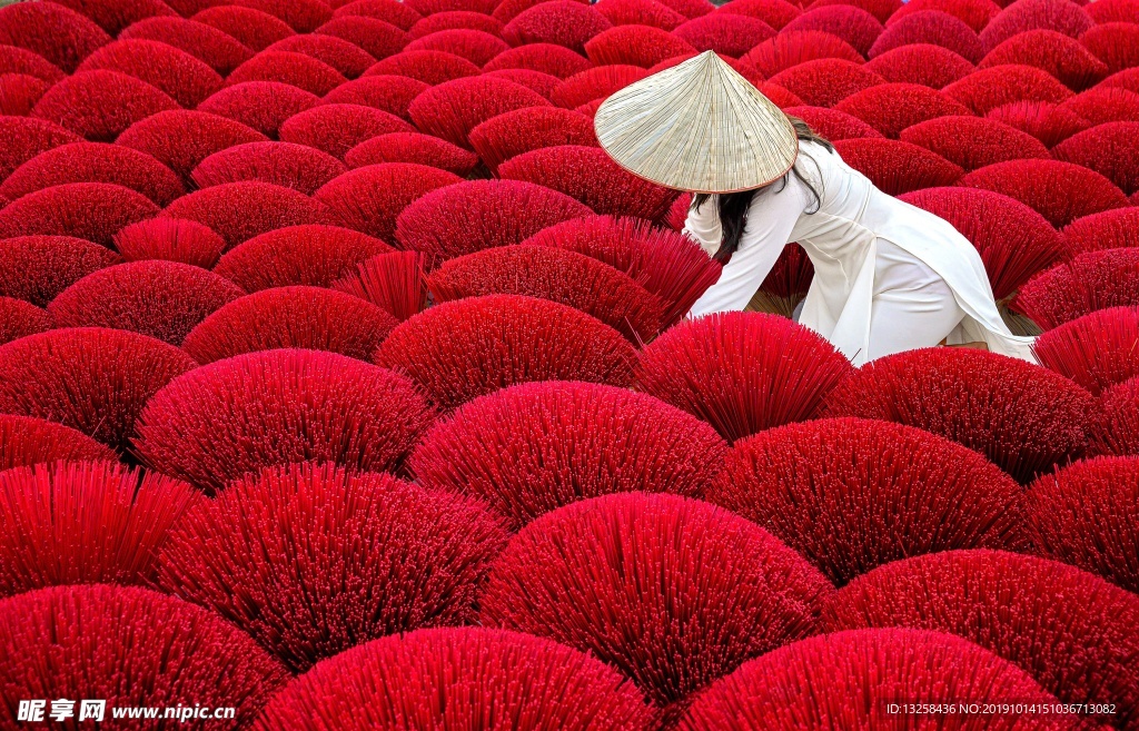 紅色花田植物女人背景