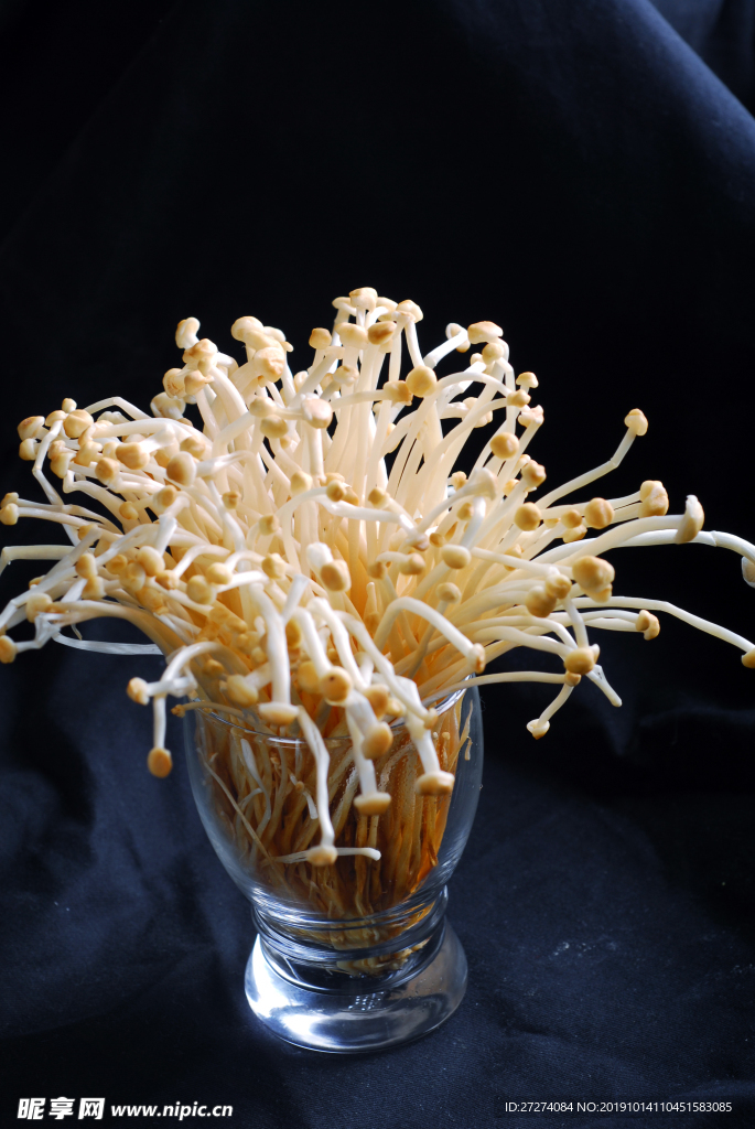 素金針菇