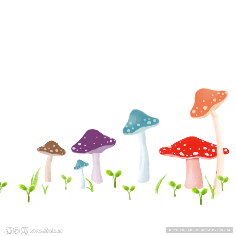 真菌 蓝蘑菇
