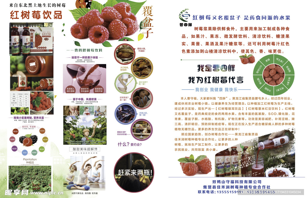 紅樹莓傳單