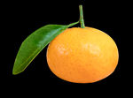 橘子带叶橘 橙子水果图案赣南橙