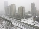 南京大雪