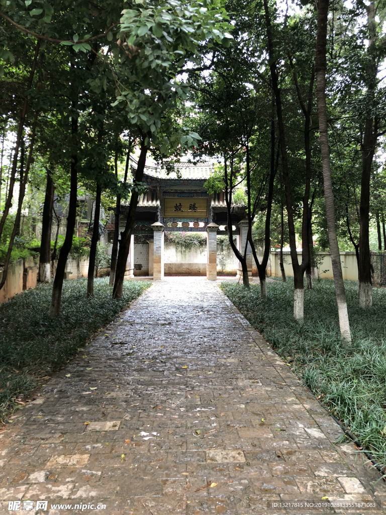 騰蛟