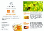 进口蜂蜜B5宣传单