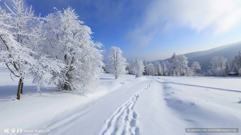 雪