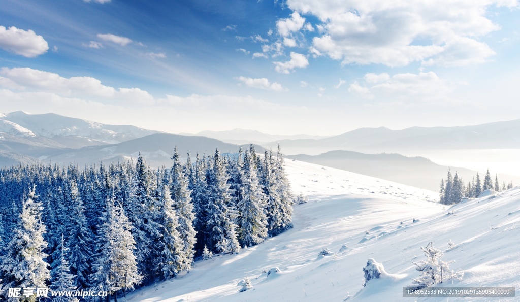 雪景