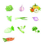 手绘蔬菜 矢量图