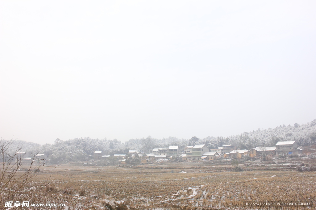 田野的雪景