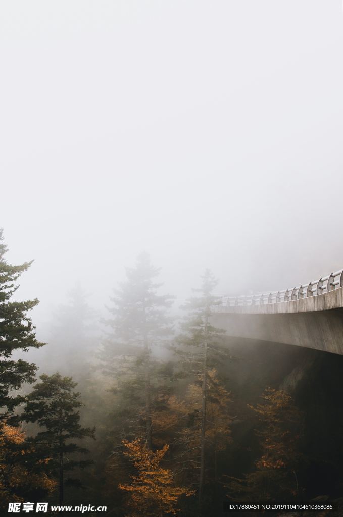 山林與公路
