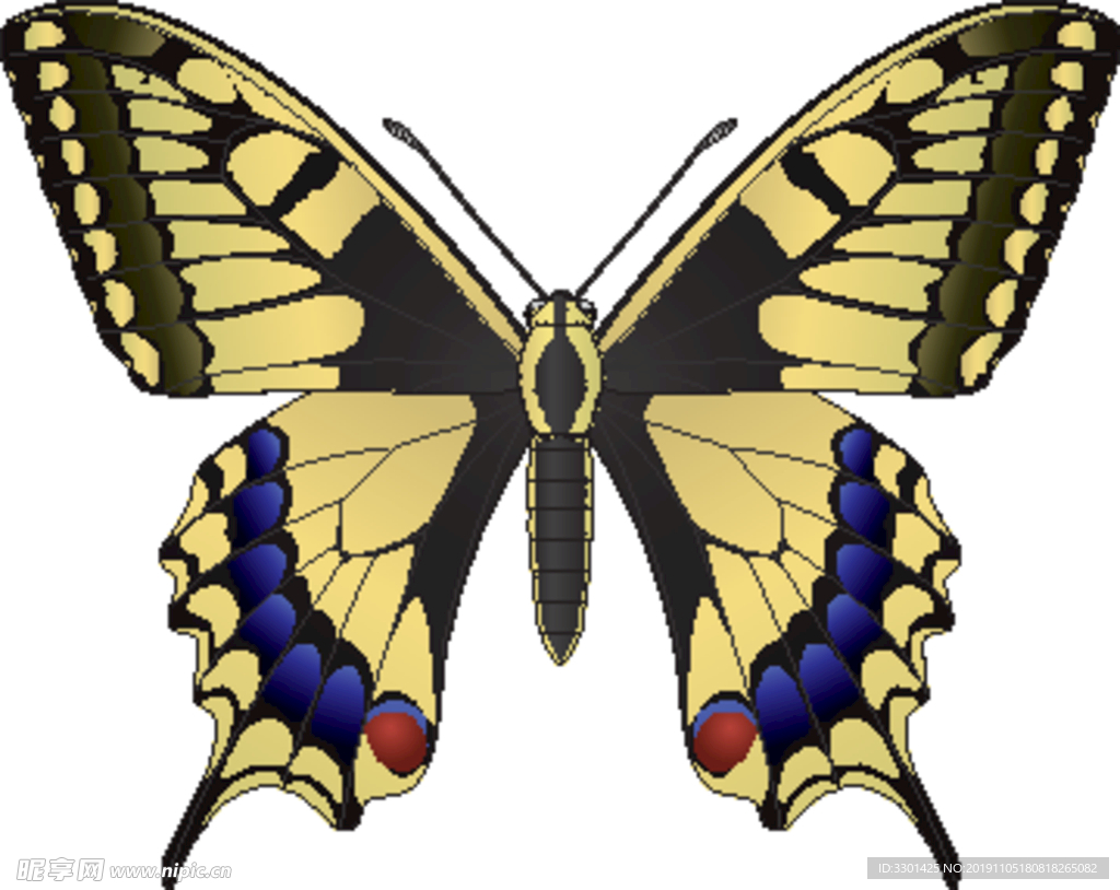 昆虫系列 黄色蝴蝶