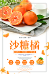 沙糖橘水果海报
