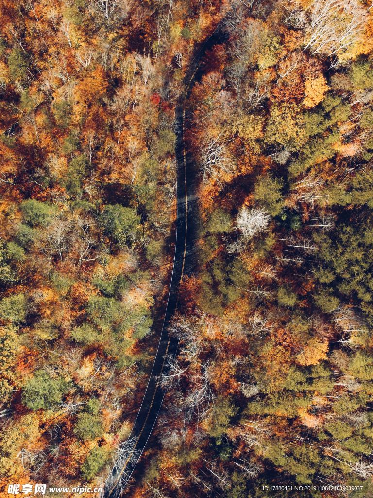 山林與公路