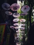 黄龙溪景点 旅游 油纸伞