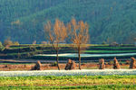 云南 风景 香格里拉 摄影 自