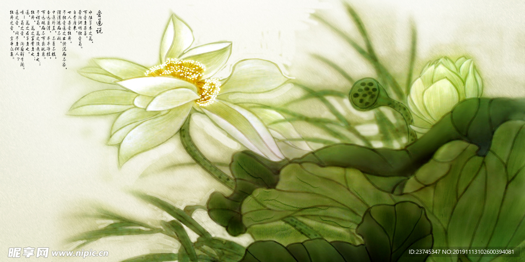 蓮花