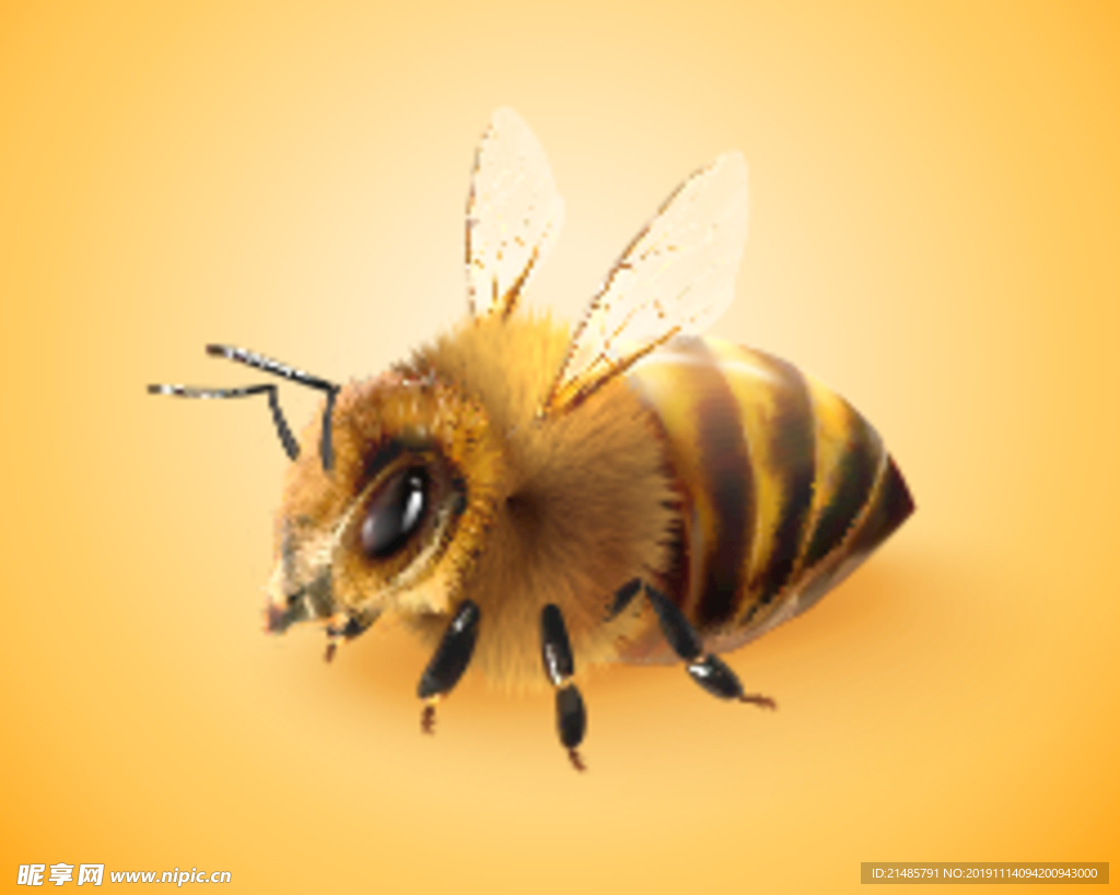 蜂蜜广告