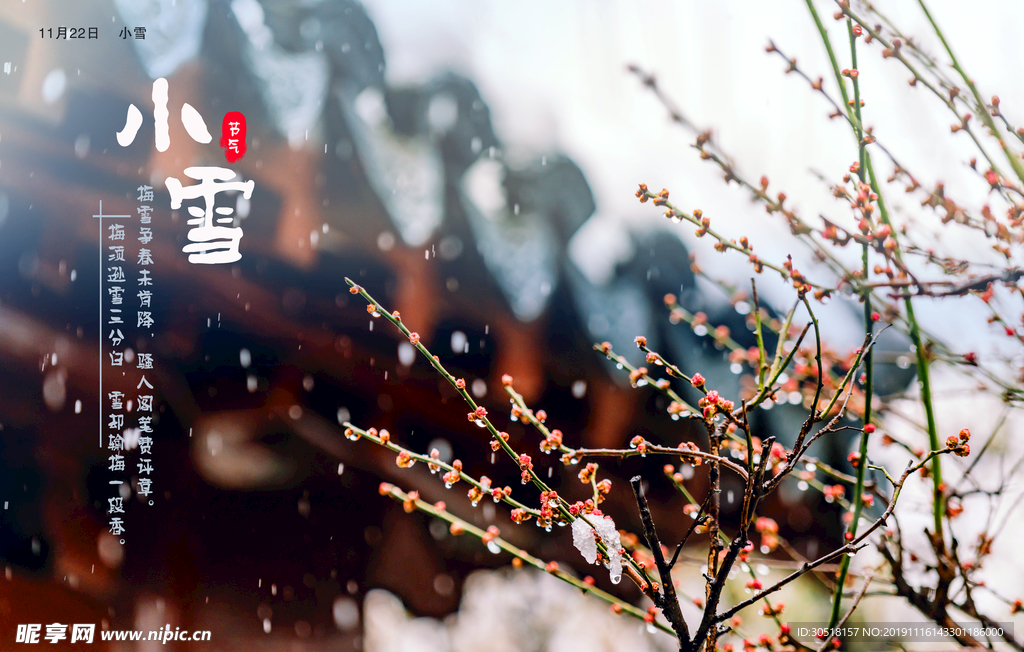 小雪