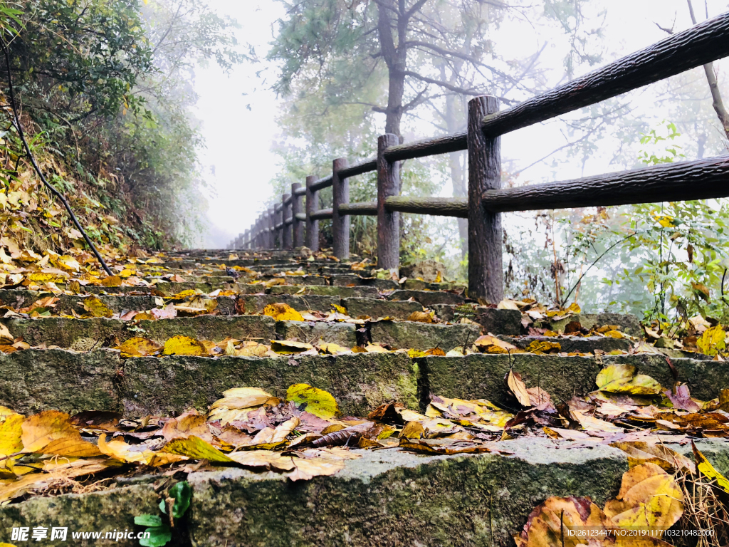 台阶