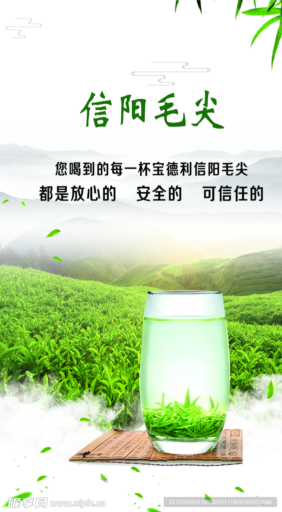 毛尖茶叶 毛尖专卖 茶海报