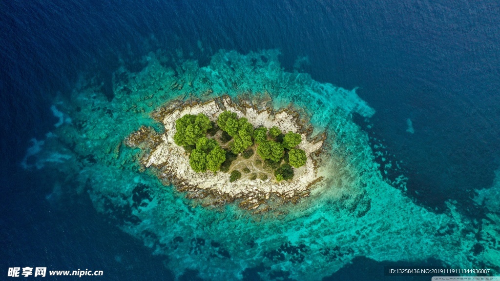大海小島海水樹木植物