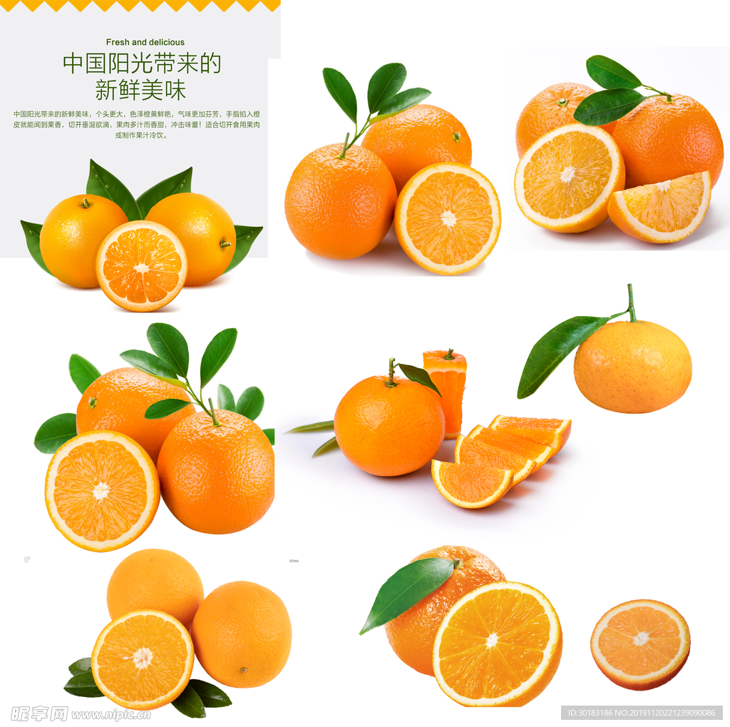 柑橘 橘子 橙子 柠檬 橘 柑